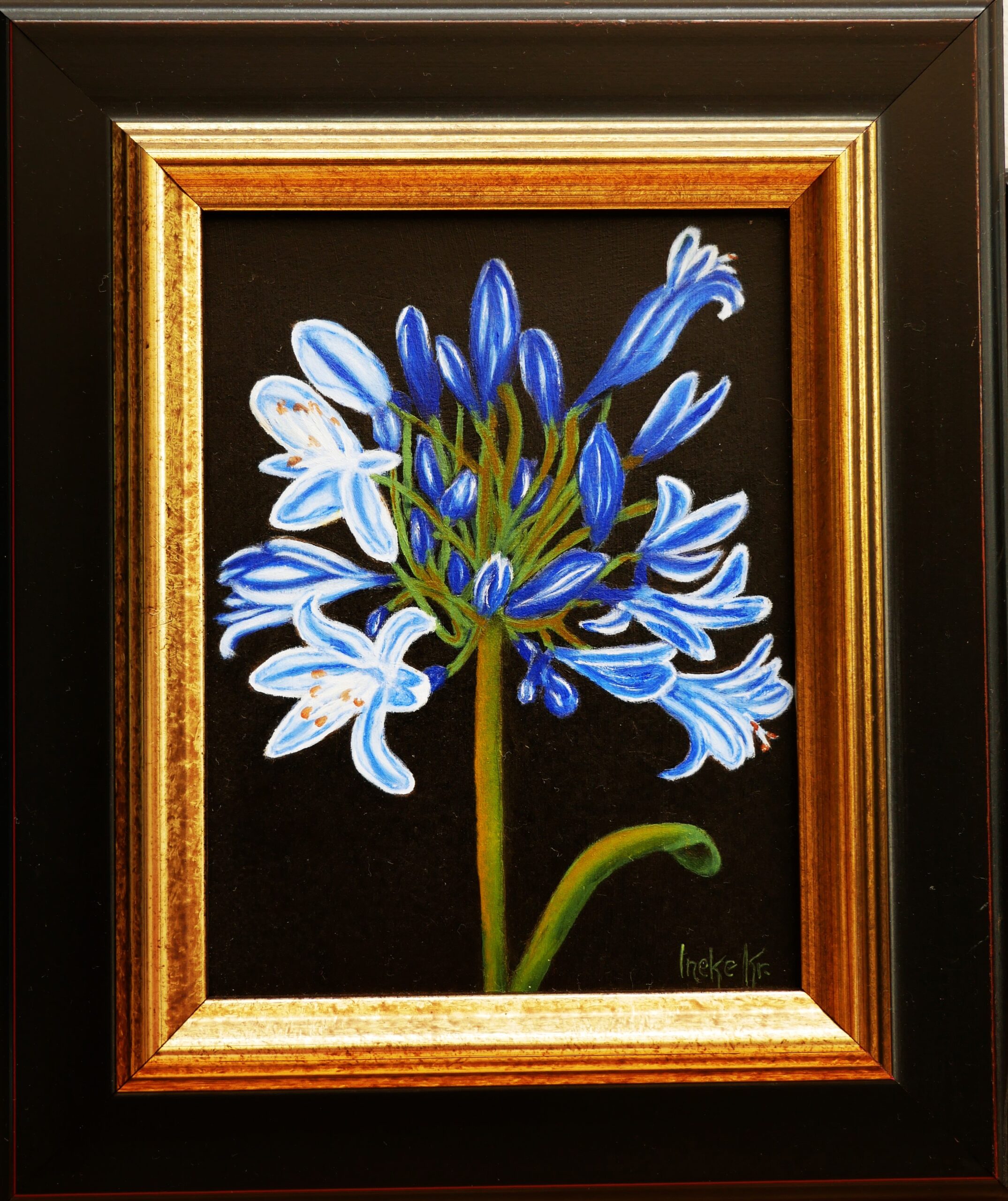 Aghapanthus schilderij