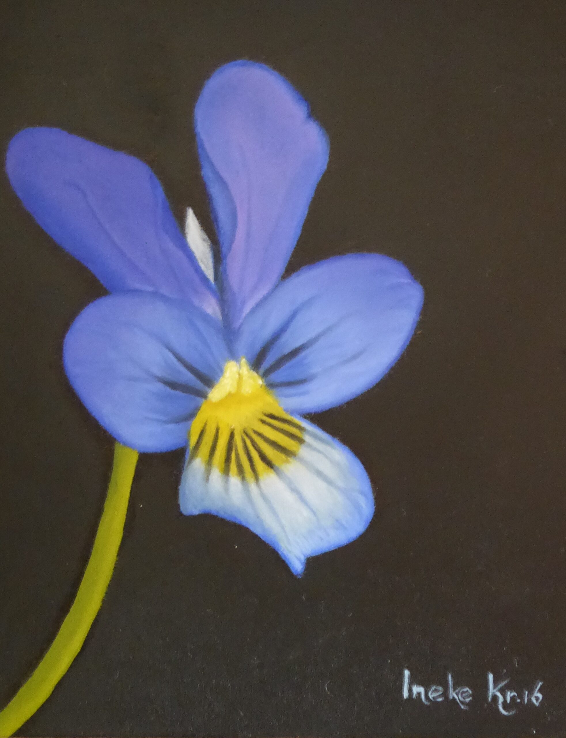 blauwe bloem stilleven