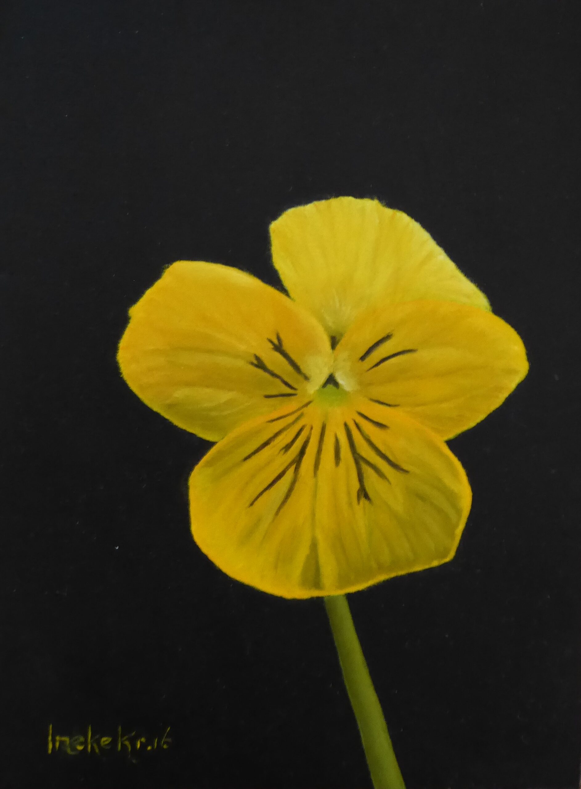 gele bloem stilleven
