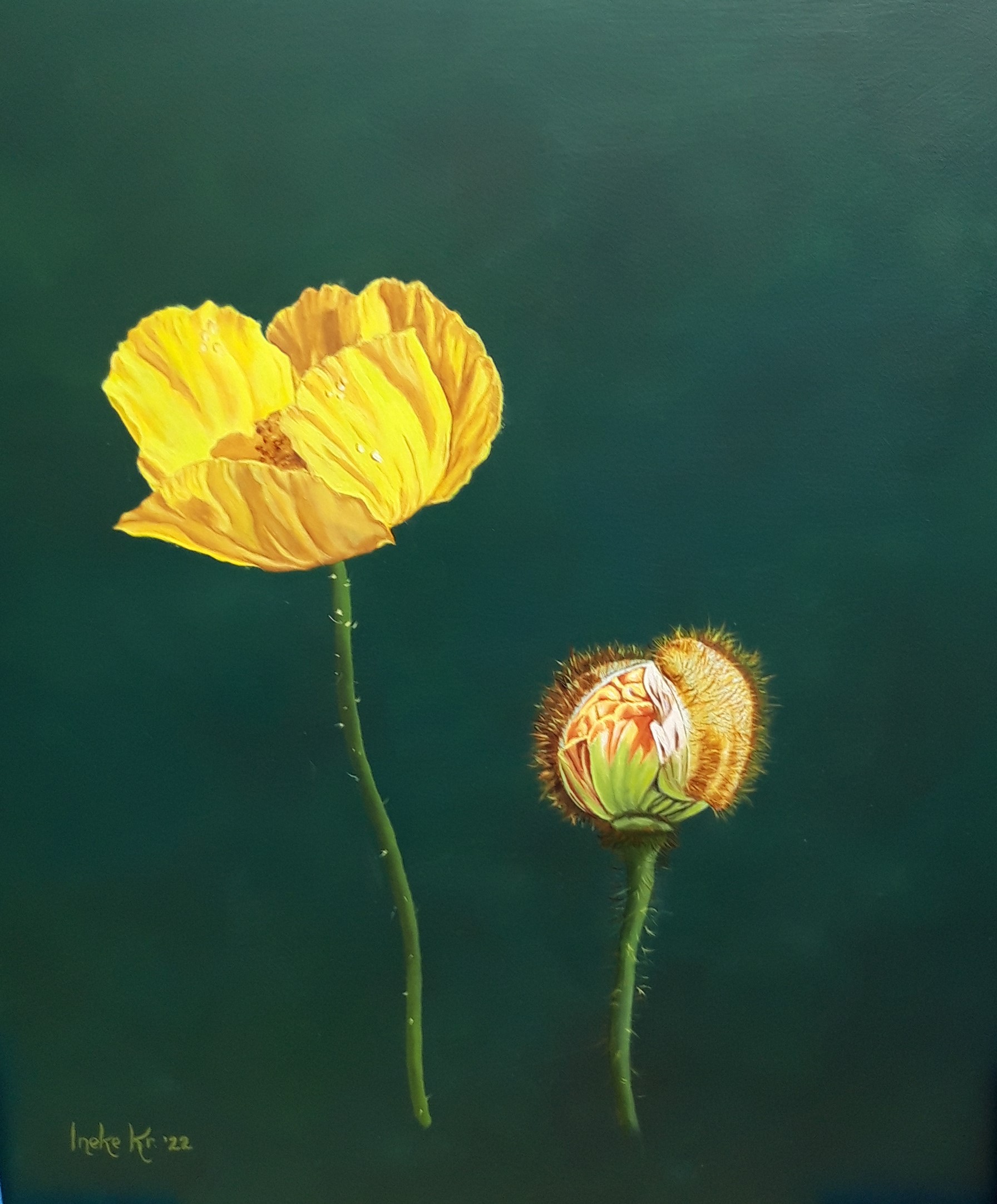 gele bloem stilleven.